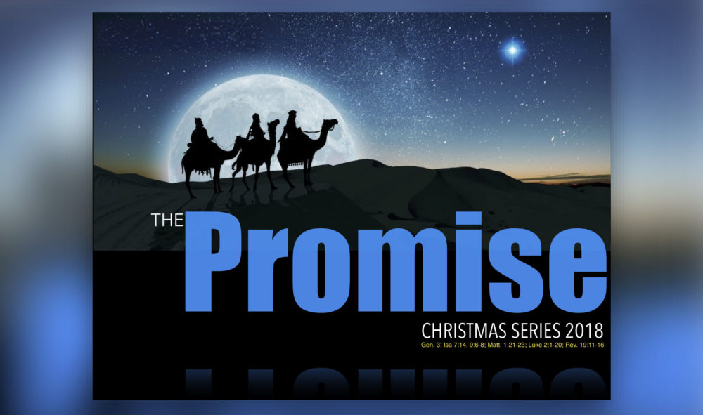 The Promise