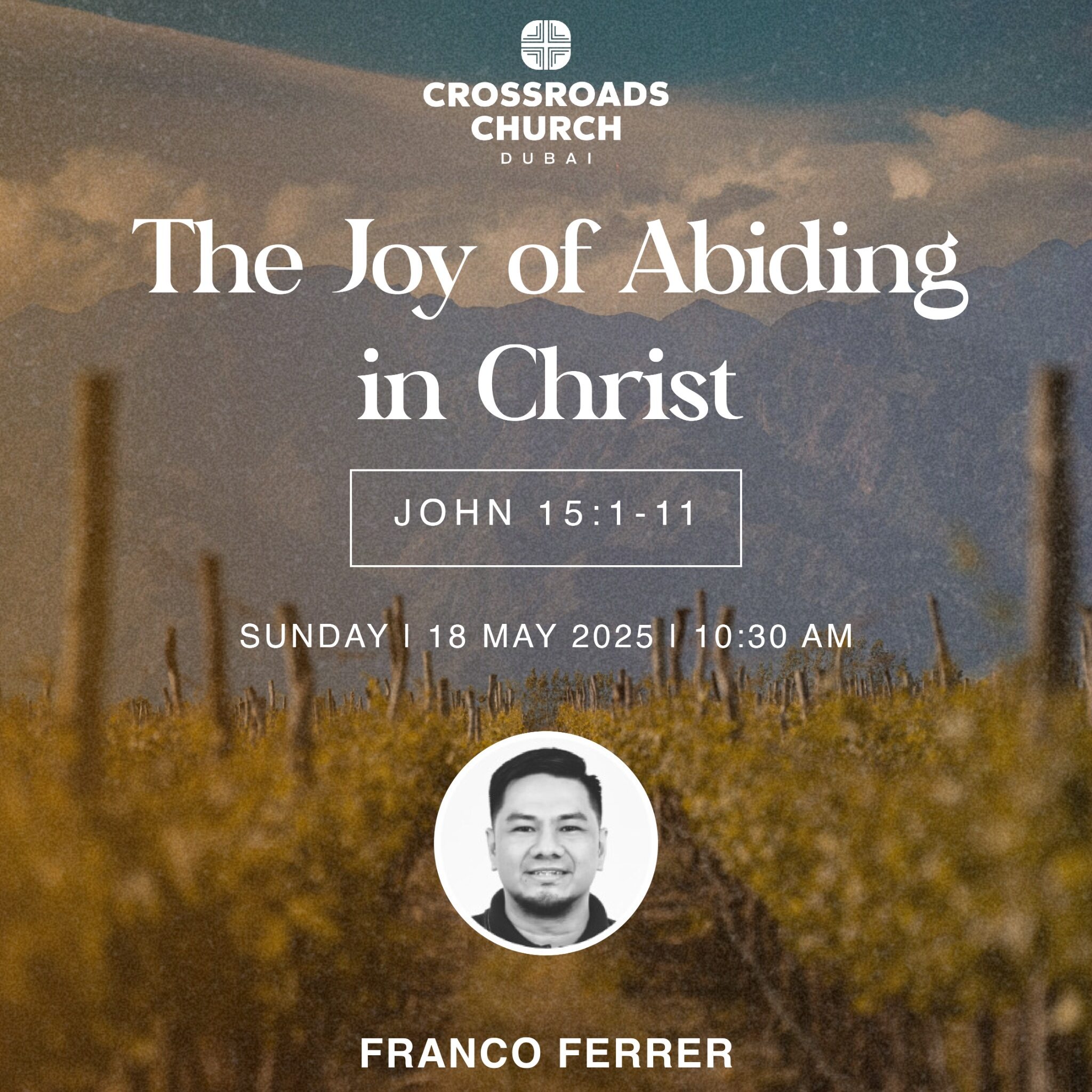 The Joy of Abiding in Christ – Stand Alone Sermons